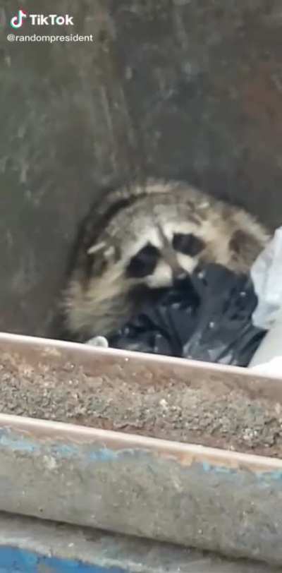 🥺 boi