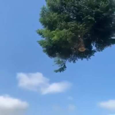 I&rsquo;m gonna make like a tree and get the hell outta here.