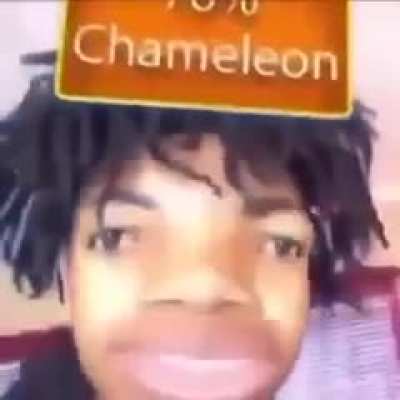 CHA-MA-LEON 🦎