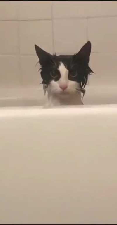 That's the look of revenge. I would be careful.