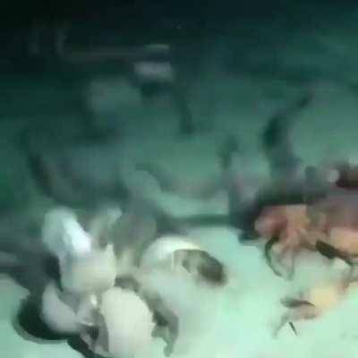 SquarePosting - Video #2727