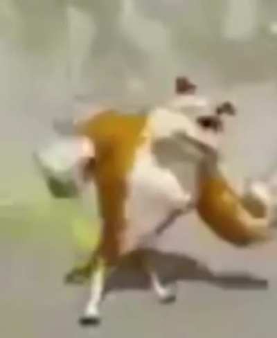 Shid and fard