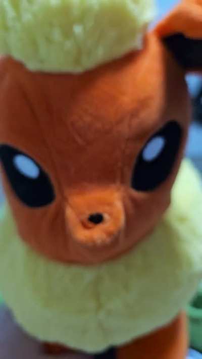 Rate my flareon.