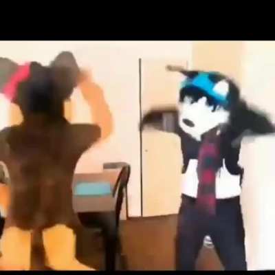 Furry_irl