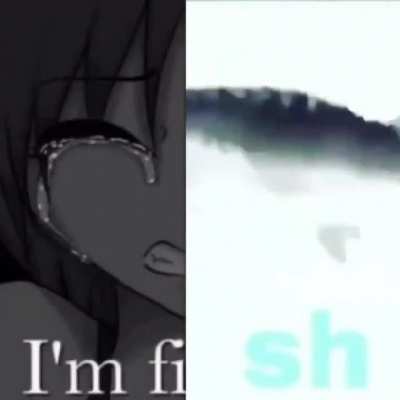 rule(but I'm fish)