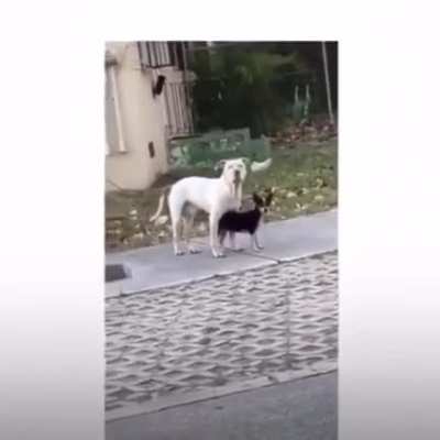 I think this belongs here