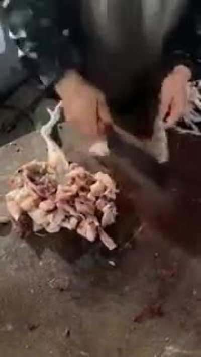 Chicken