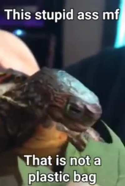 These turtles nowadays 🙄🙄