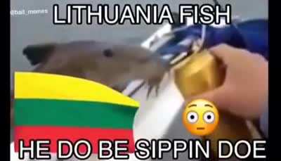 polish femboy fish