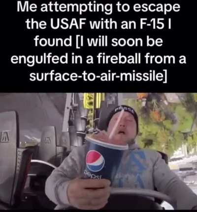 NOOOOO I JUST WANTED TO PLAY ACE COMBAT IN REAL LIFE *CRSHHHHH* AHHHHH *BOOOM*