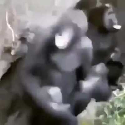 Blursed monke
