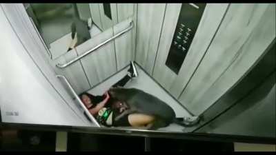 Pitbull attacks its owner