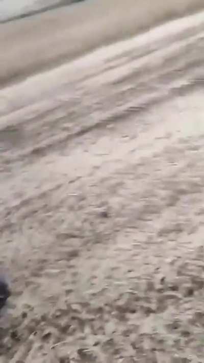 Ukrainian farmers filmed a close flyby of an Ukrainian Su-24MR at very low altitude 