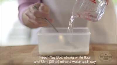 Sourdough Starter