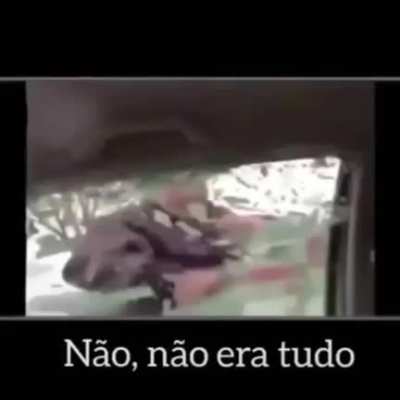 Nop &eacute; tudo