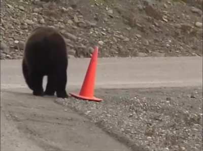 Fixing a cone