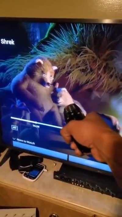bruh