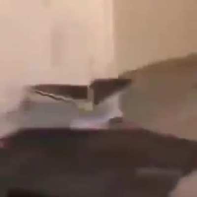 It's time for the hot shit