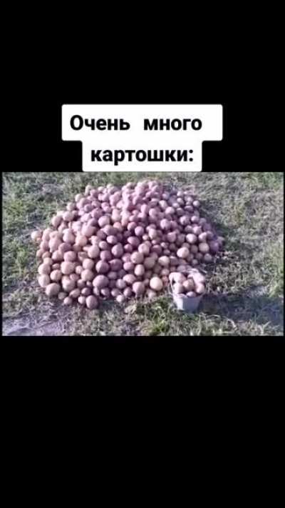 Картошка