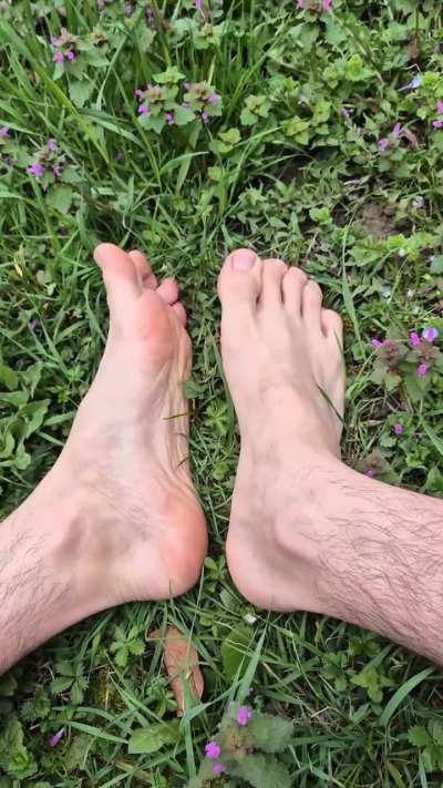 Happy Feet