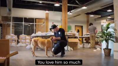 Your beloved dog