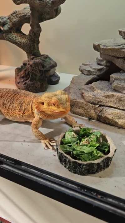 Hold the leaves, just croutons please