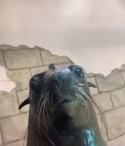 buenos días