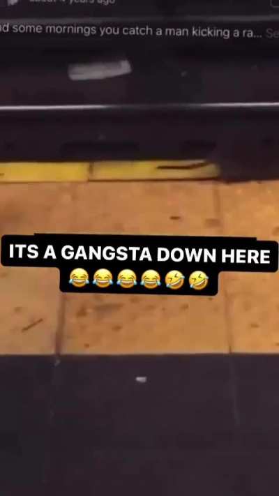 Shit still be having me 💀💀talkin to that shit likes it&rsquo;s a real person lmaooo someone had to rat on him 