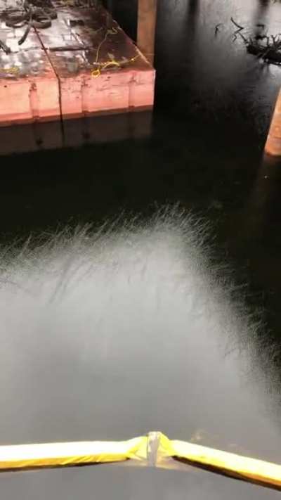 Electric water