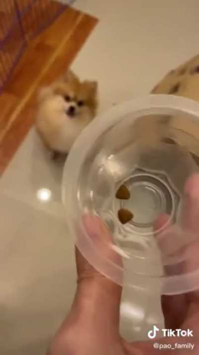 Pao said no