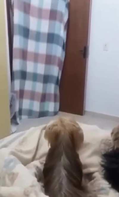 How did she do that?