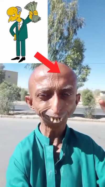 mr burns