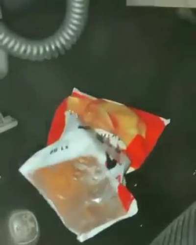 Como ele ta t&atilde;o calmo?