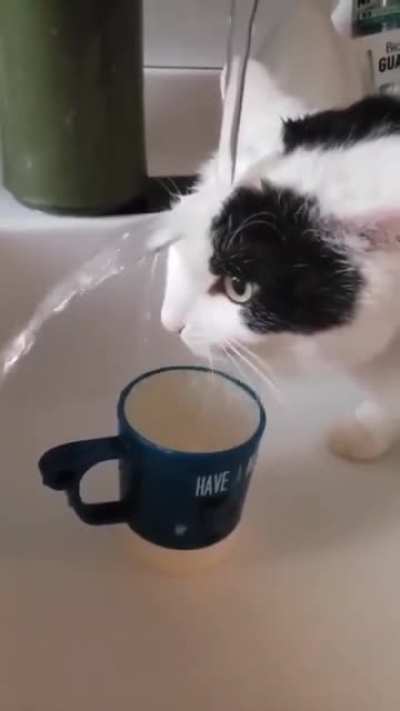 a strange way to quench your thirst