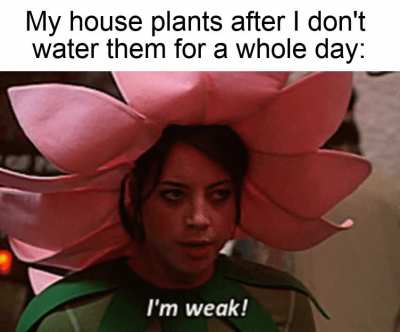 Just can't win