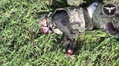 Russian soldier is hit by an FPV drone equipped with a fragmentation charge. Video from the Strike Drones Company (47 OMBr).