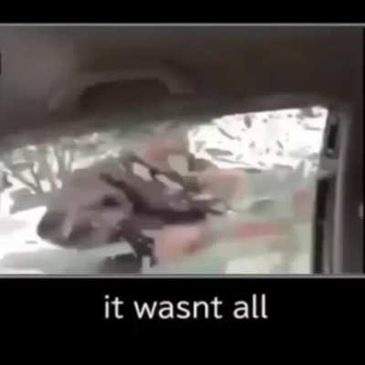 It wasn&rsquo;t all