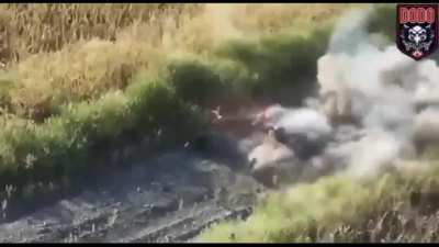 Ukrainian drone drops VOG grenade on Russian soldier and severed his head