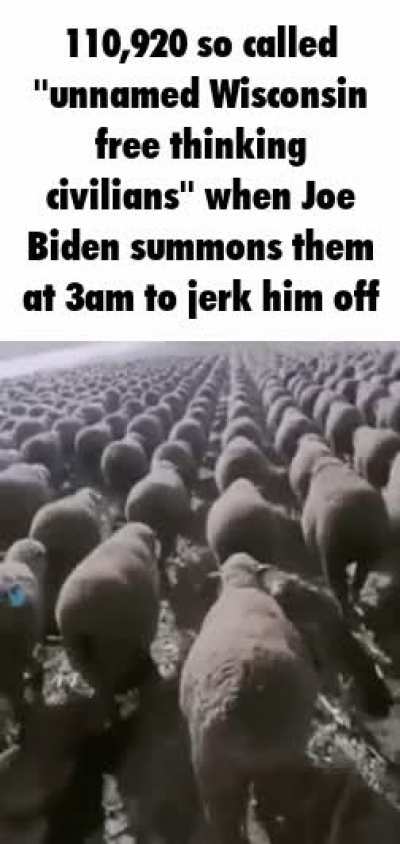 wordington sheeple
