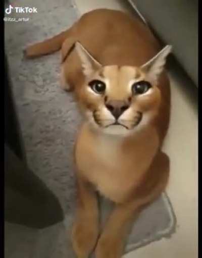 ..