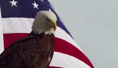 Freedom 🔛🔝 🇺🇸🇺🇸🇺🇸🇺🇸