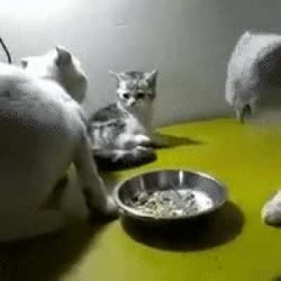 Sharing is caring