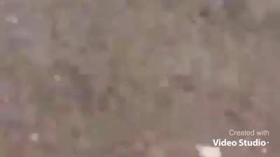 AAAaaa-