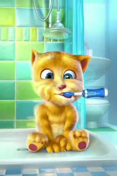 😂🐱😂🐱😂 Wie? Die Ginger bekommt auch die 🦷🦷🦷🦷🦷geputzt? Guten Morgen, ihr S&uuml;&uuml;&uuml;&uuml;&uuml;&uuml;&szlig;en!!!!😘🤪🤗🤭🤭🐈🐱