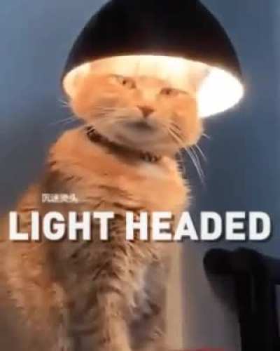 Not my brightest idea