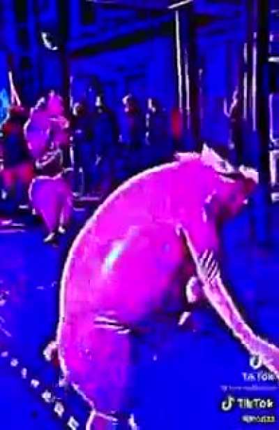 What the fuck is this