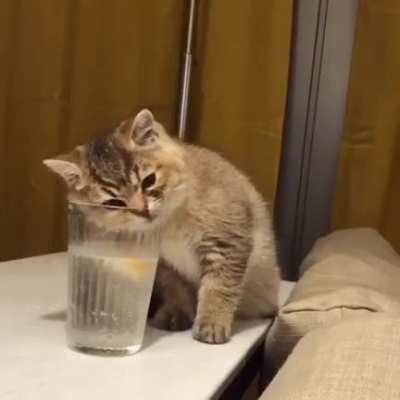 touch da lemon