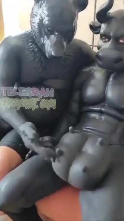 The Bull: