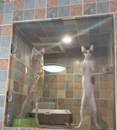 th&Euml;&yuml; s&Euml;&ecirc;