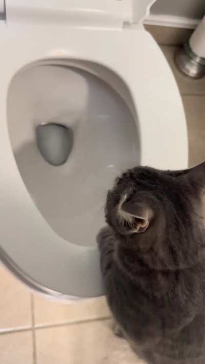 We have many conversations about his potty interest.